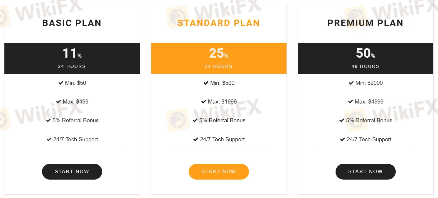 Investment Plan