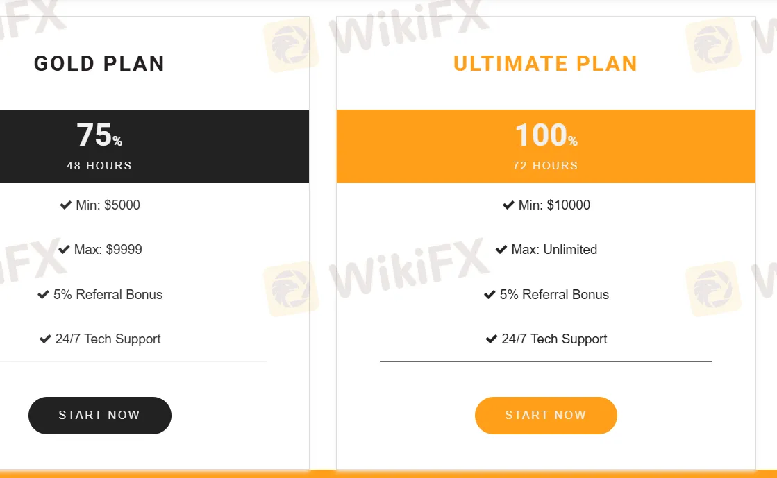 Investment Plan