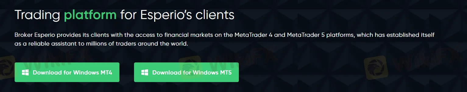 Платформы MT4 и MT5