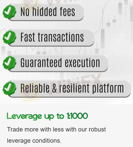 Leverage