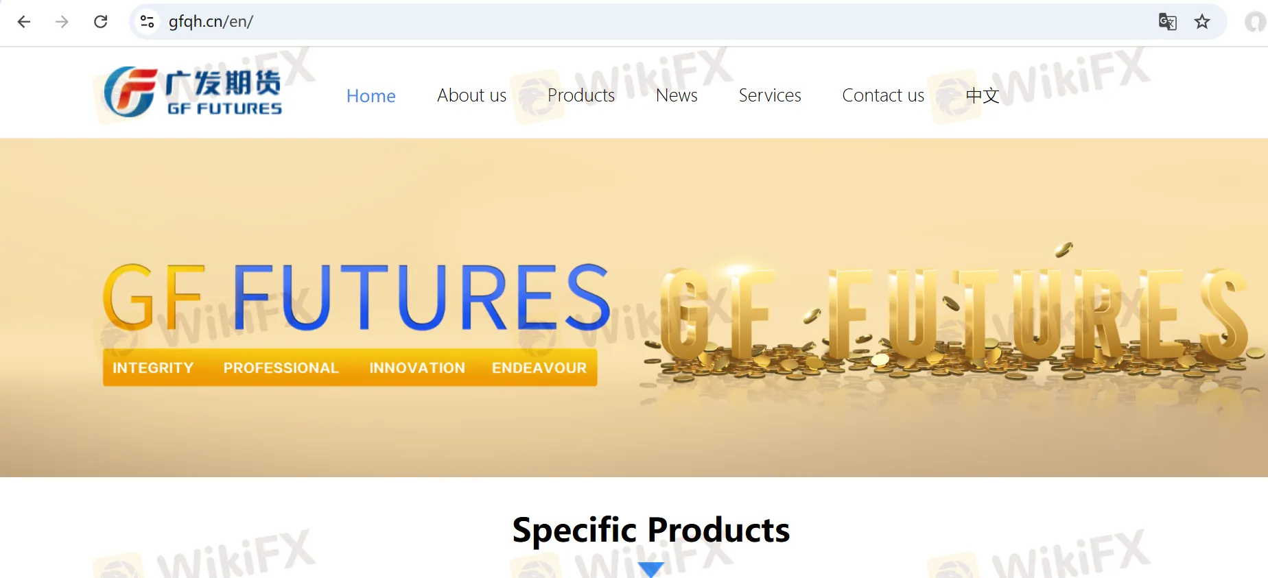GF Futures 情報
