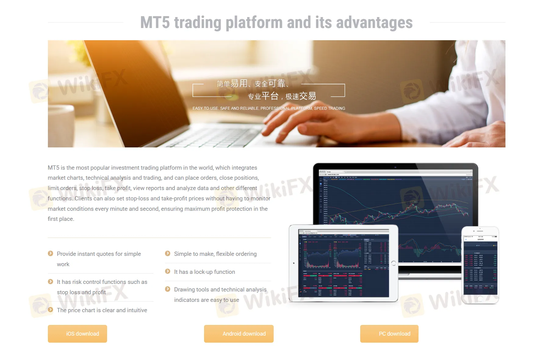 MT5