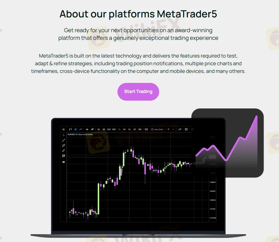 Plateforme MT5