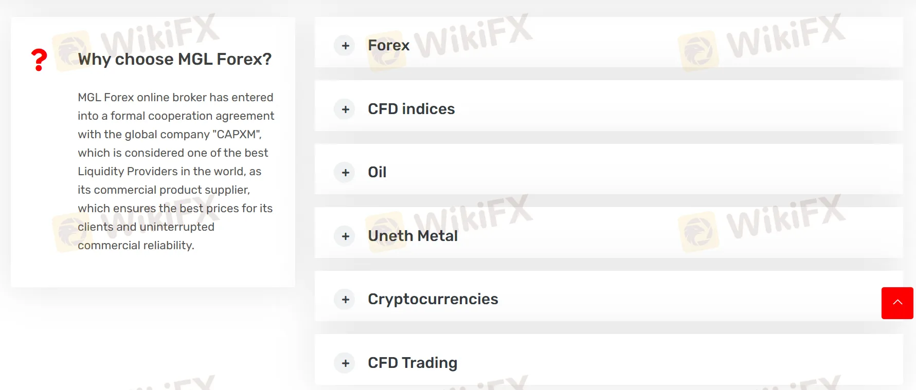 What Can I Trade on MGL Forex?