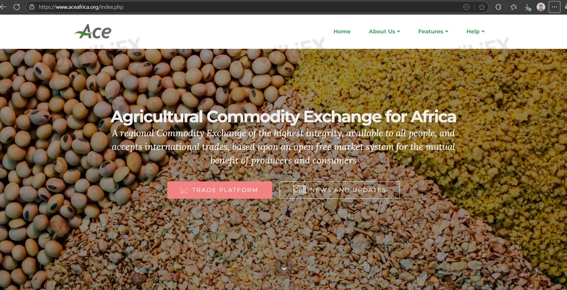 Ace's homepage