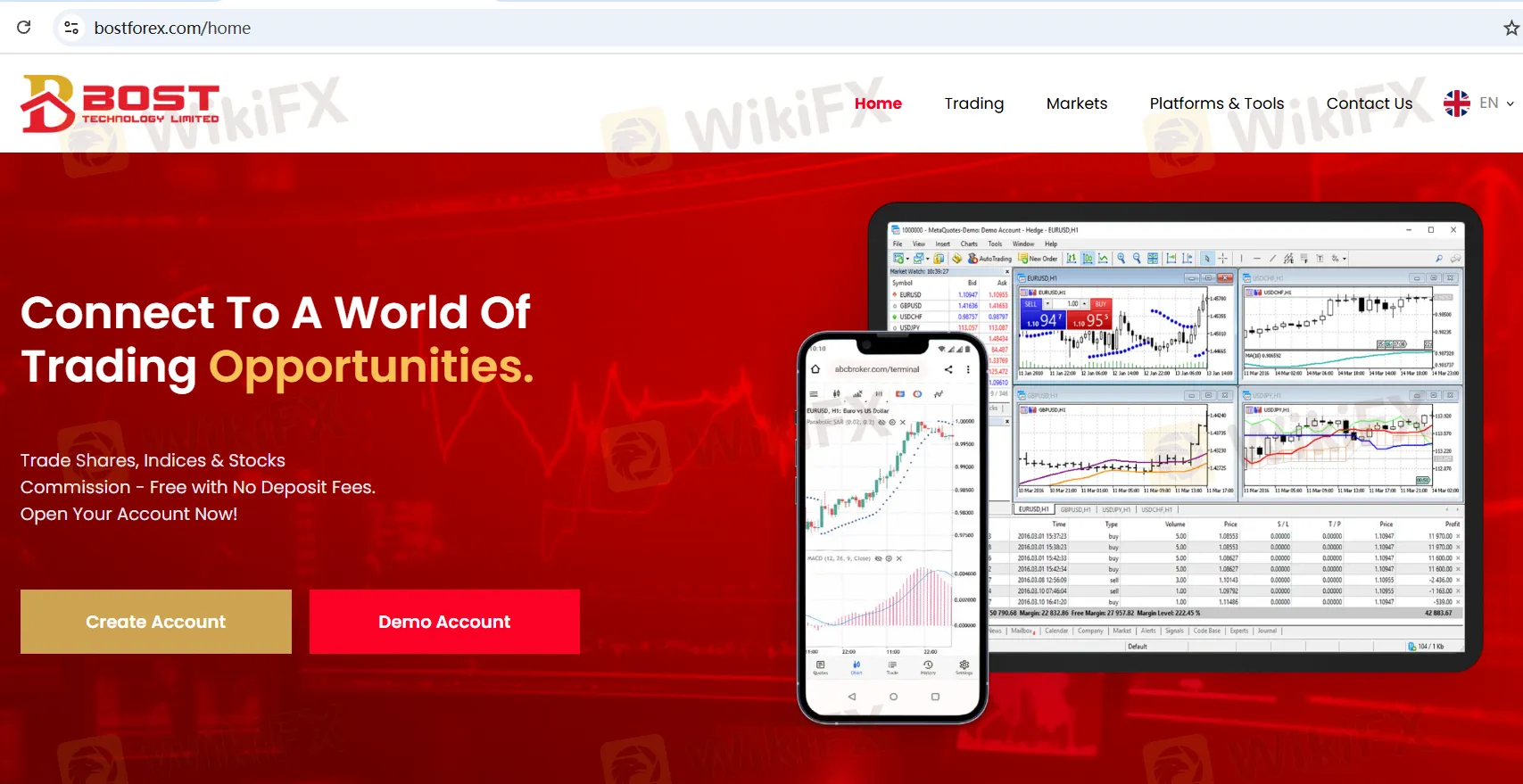Bost Forex Information